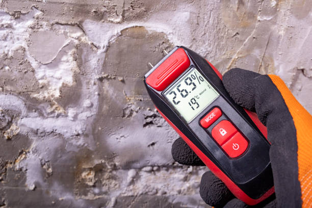 Best Kitchen Mold Remediation in Andrews, NC